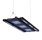 Meridian 35 Edge Bar Bundle - Reef Breeders
