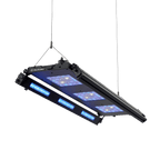 Meridian 35 Edge Bar Bundle - Reef Breeders