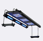 Meridian 35 Edge Bar Bundle - Reef Breeders