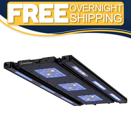 Meridian 35 Edge Bar Bundle - Reef Breeders