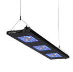 Meridian 35 - Reef Breeders
