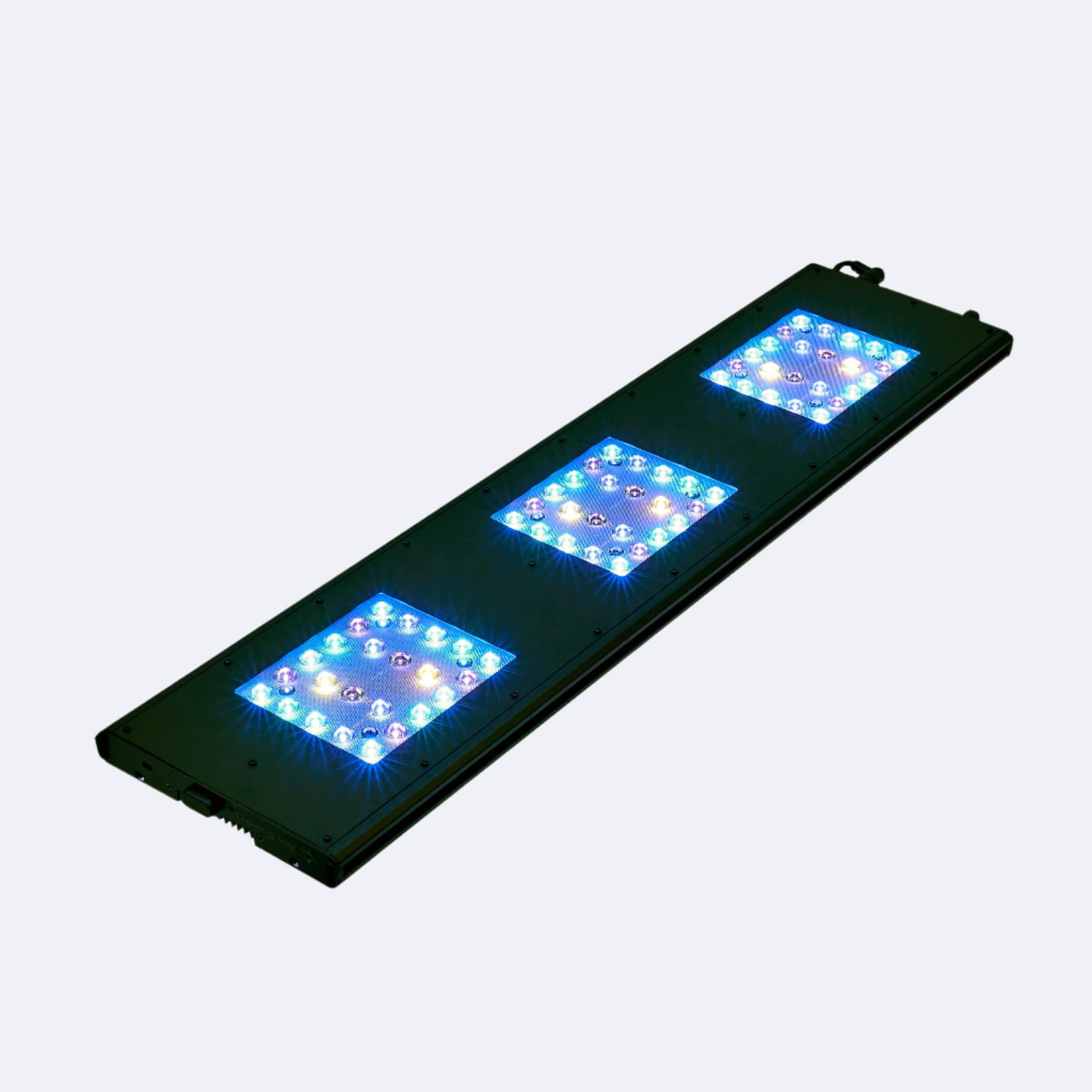 Meridian 35 - Reef Breeders