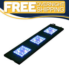 Meridian 35 - Reef Breeders