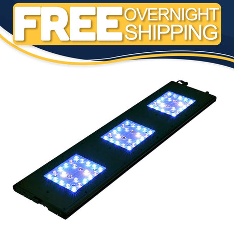 Meridian 35 - Reef Breeders