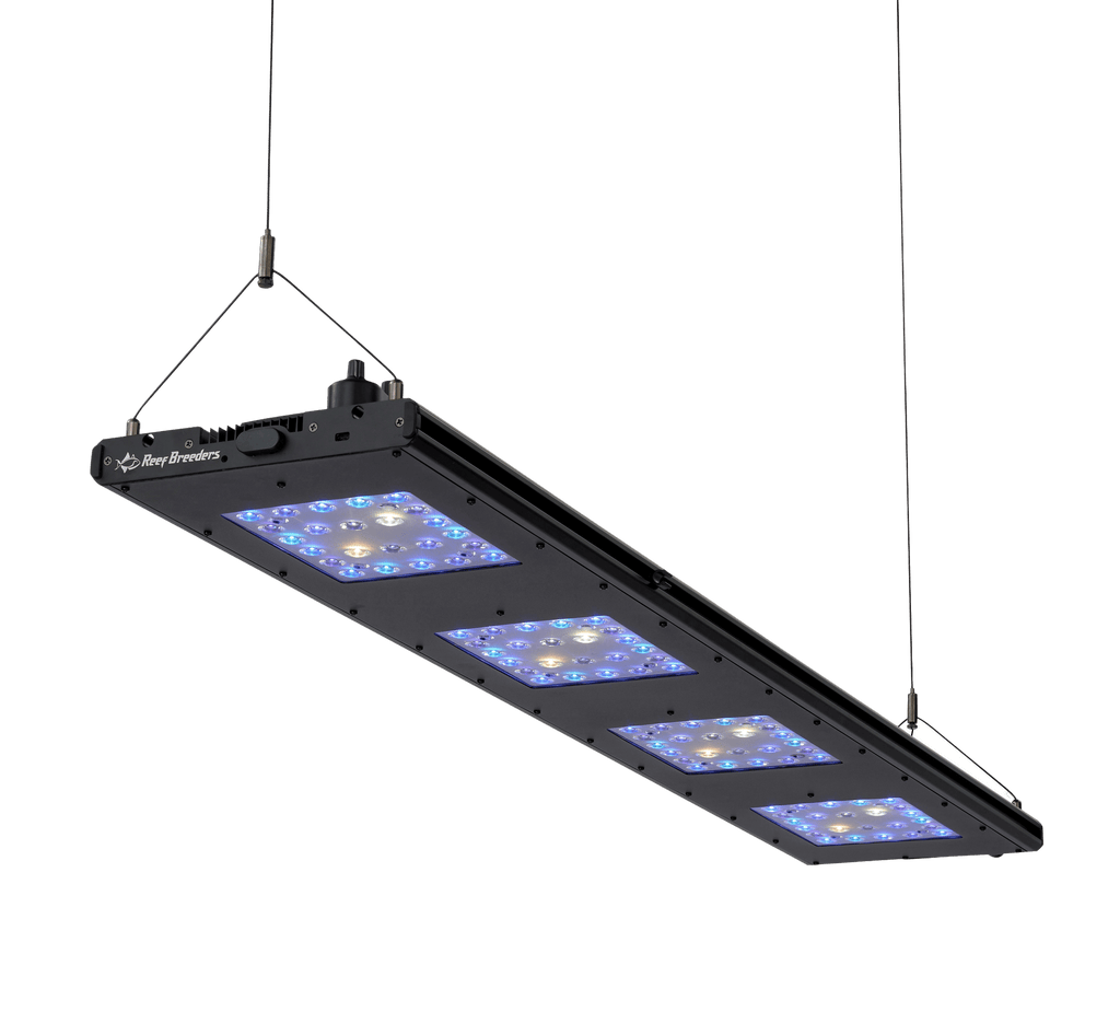 Meridian 45