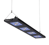 Meridian 45