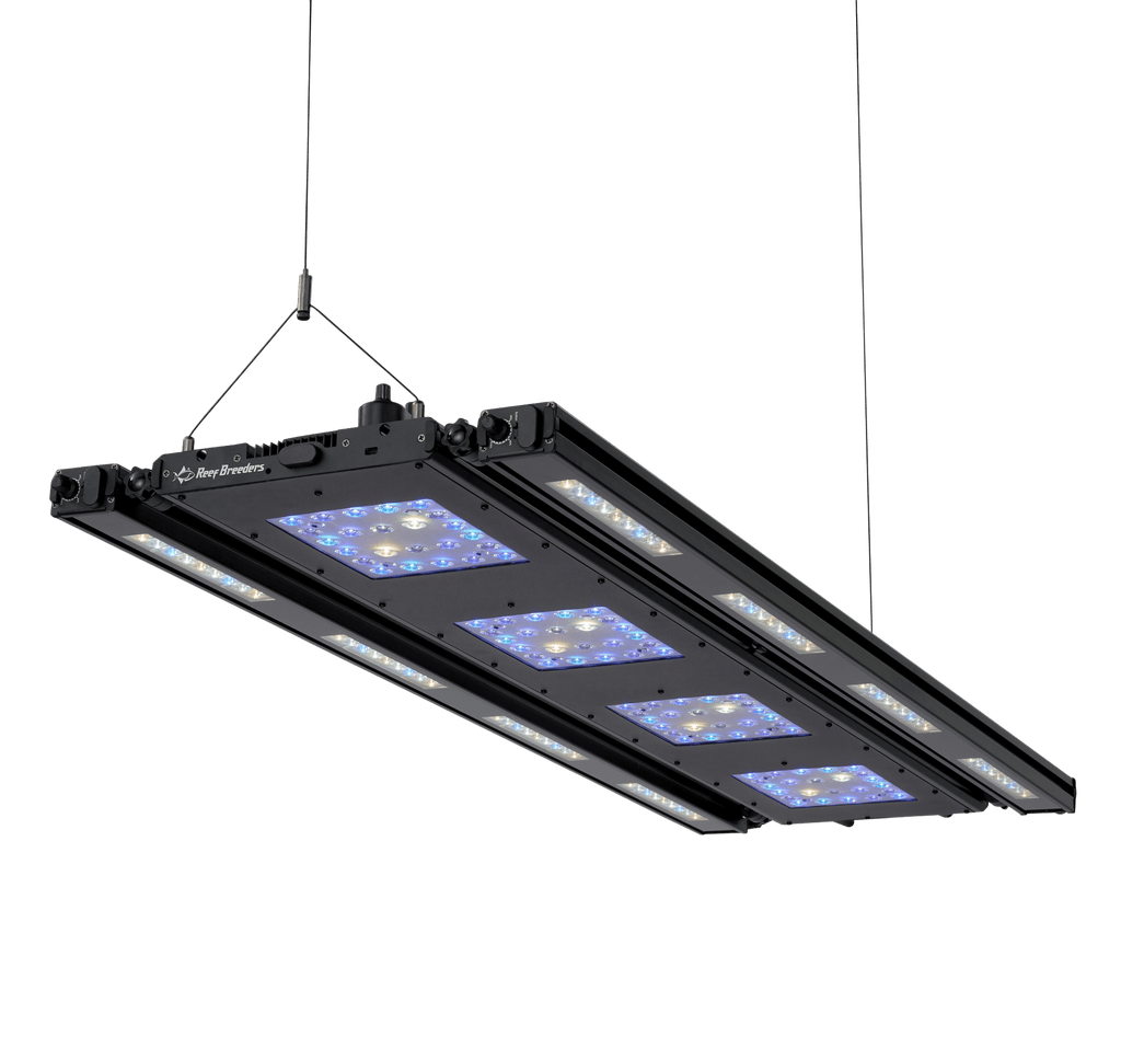Meridian 45 Edge Bar Bundle - Reef Breeders