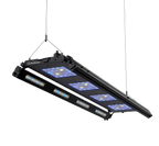 Meridian 45 Edge Bar Bundle - Reef Breeders