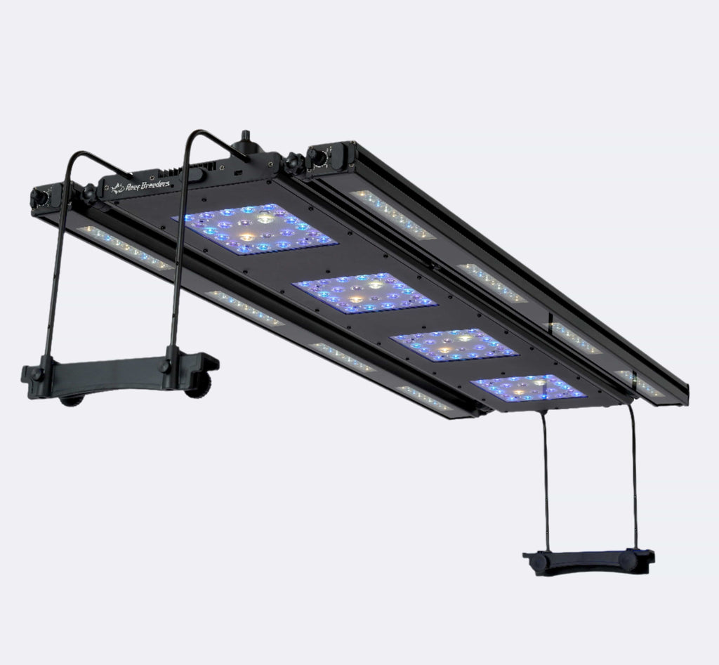 Meridian 45 Edge Bar Bundle - Reef Breeders