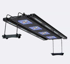 Meridian 45 Edge Bar Bundle - Reef Breeders