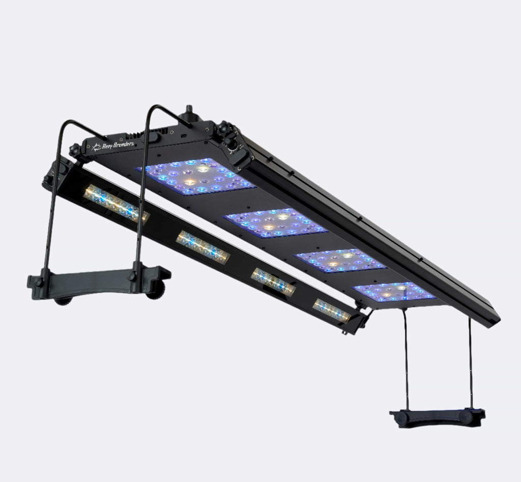 Meridian 45 Edge Bar Bundle - Reef Breeders