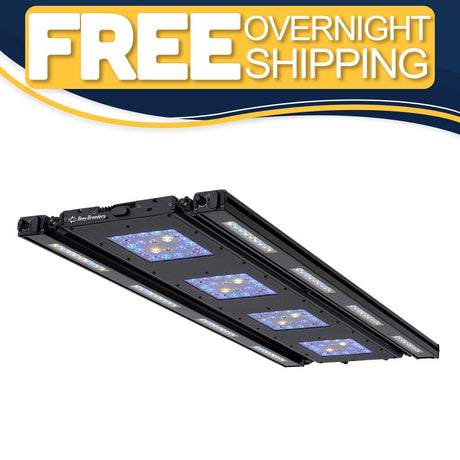 Meridian 45 Edge Bar Bundle - Reef Breeders