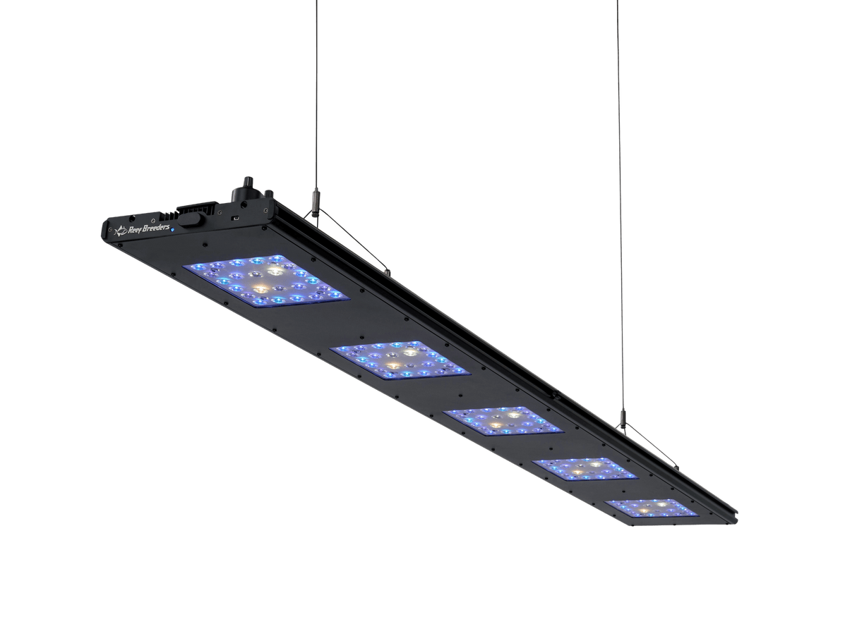 Meridian 63 - Reef Breeders