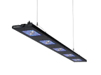 Meridian 63 - Reef Breeders