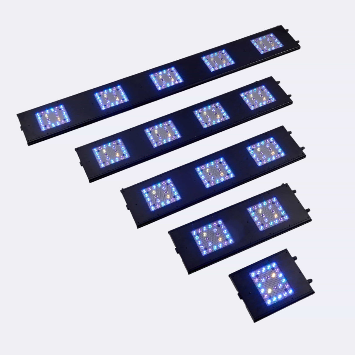 Meridian 63 - Reef Breeders