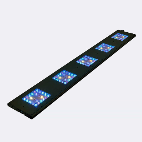 Meridian 63 - Reef Breeders