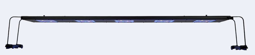 Meridian 63 - Reef Breeders