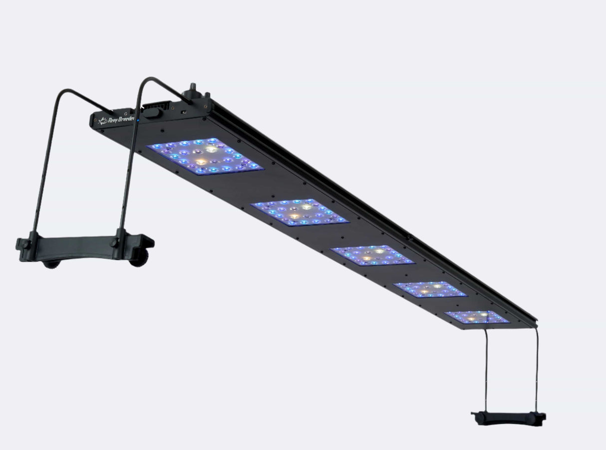 Meridian 63 - Reef Breeders