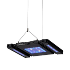 Meridian Hanging Wires - Reef Breeders