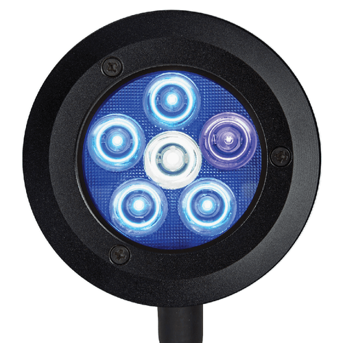 ReefBreeders Pico LED Saltwater Reef
