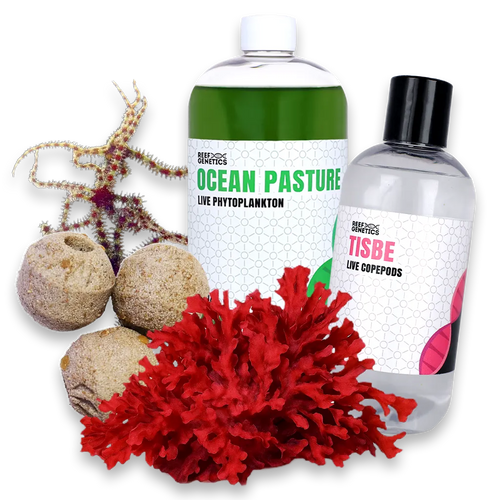 Aquarium Seeder Pack - Reef Genetics 32 oz