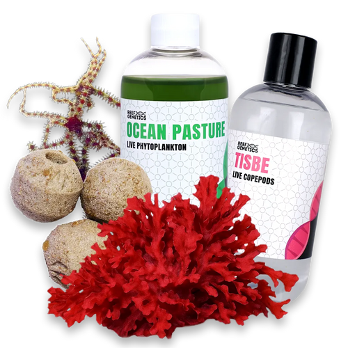 Aquarium Seeder Pack - Reef Genetics 8 oz