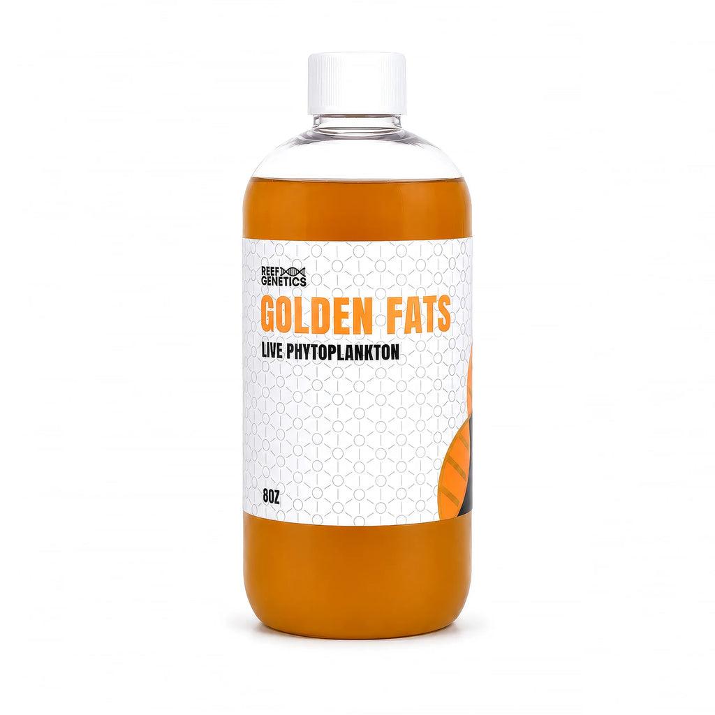 Golden Fats Live Golden Phytoplankton - Reef Genetics