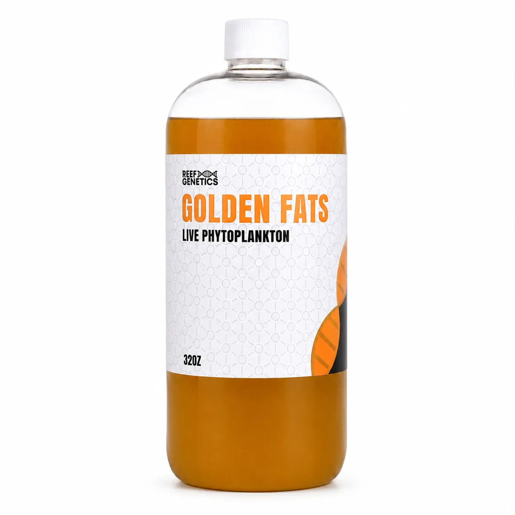 Golden Fats Live Golden Phytoplankton - Reef Genetics