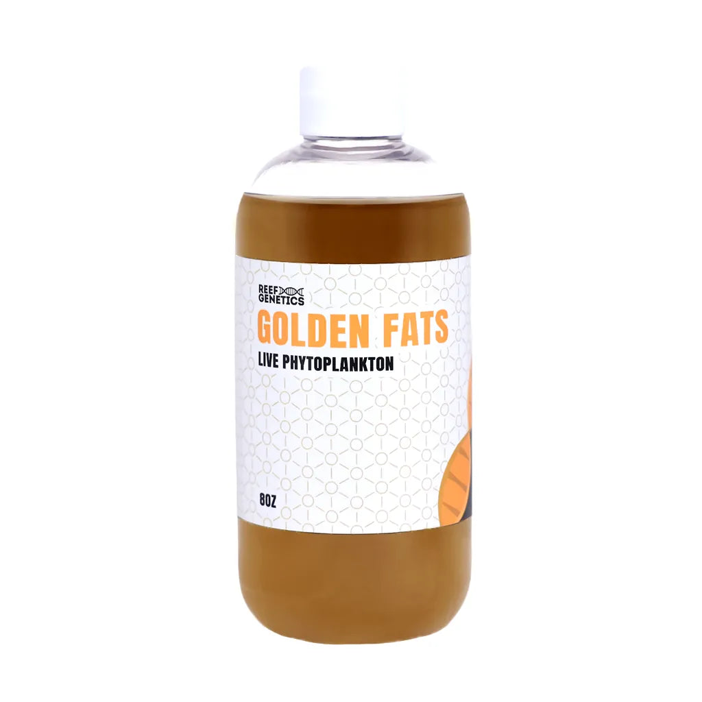 Golden Fats Live Golden Phytoplankton - Reef Genetics 8 oz