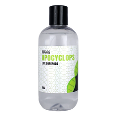 Live Apocyclops Copepods - Reef Genetics