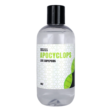 Live Apocyclops Copepods - Reef Genetics