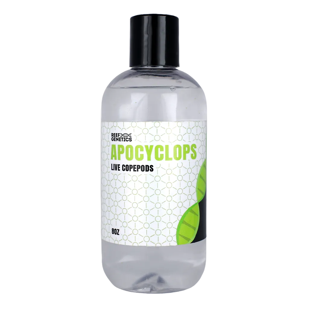 Live Apocyclops Copepods - Reef Genetics