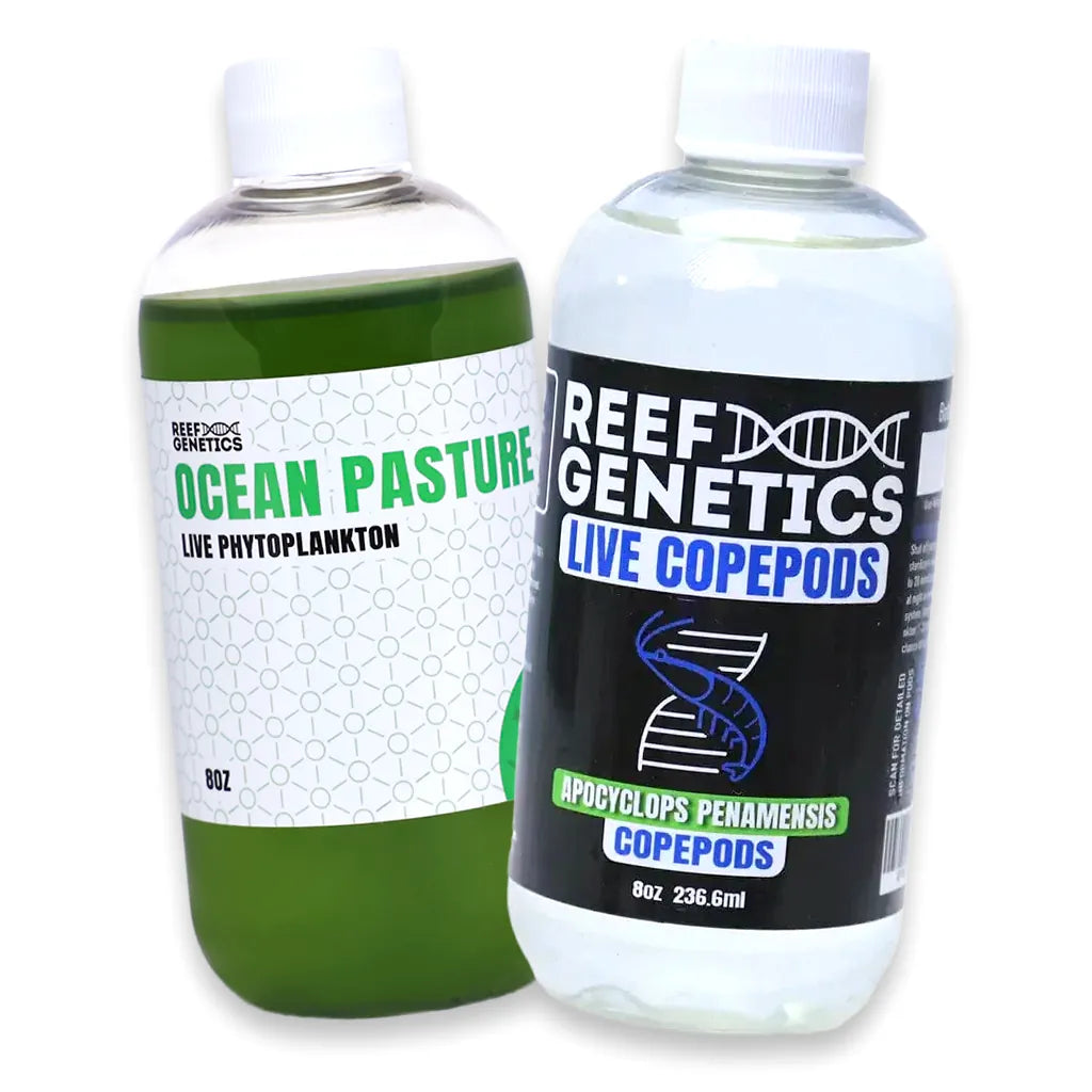 Live Green Phytoplankton & Pods Pack - Reef Genetics – Top Shelf