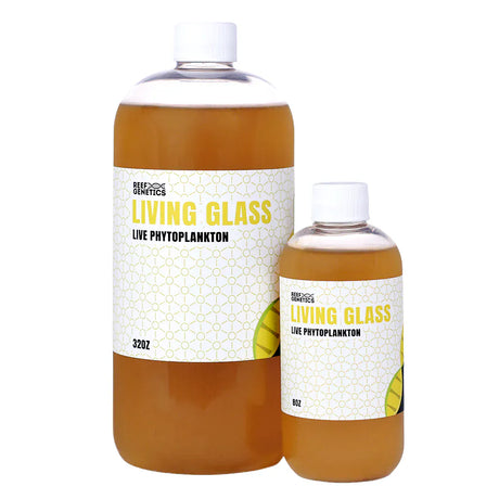 Live Living Glass Phytoplankton () - Reef Genetics
