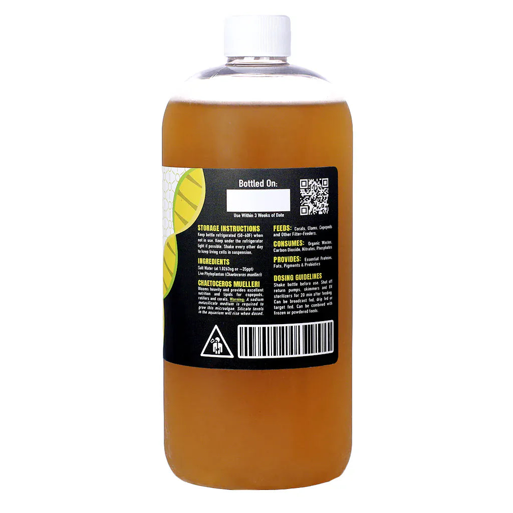 Live Living Glass Phytoplankton () - Reef Genetics