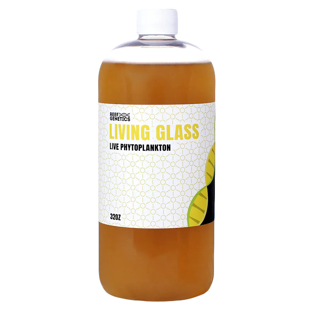 Live Living Glass Phytoplankton () - Reef Genetics 32 oz