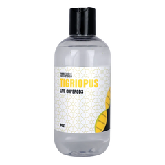 Live Tigriopus Copepods - Reef Genetics
