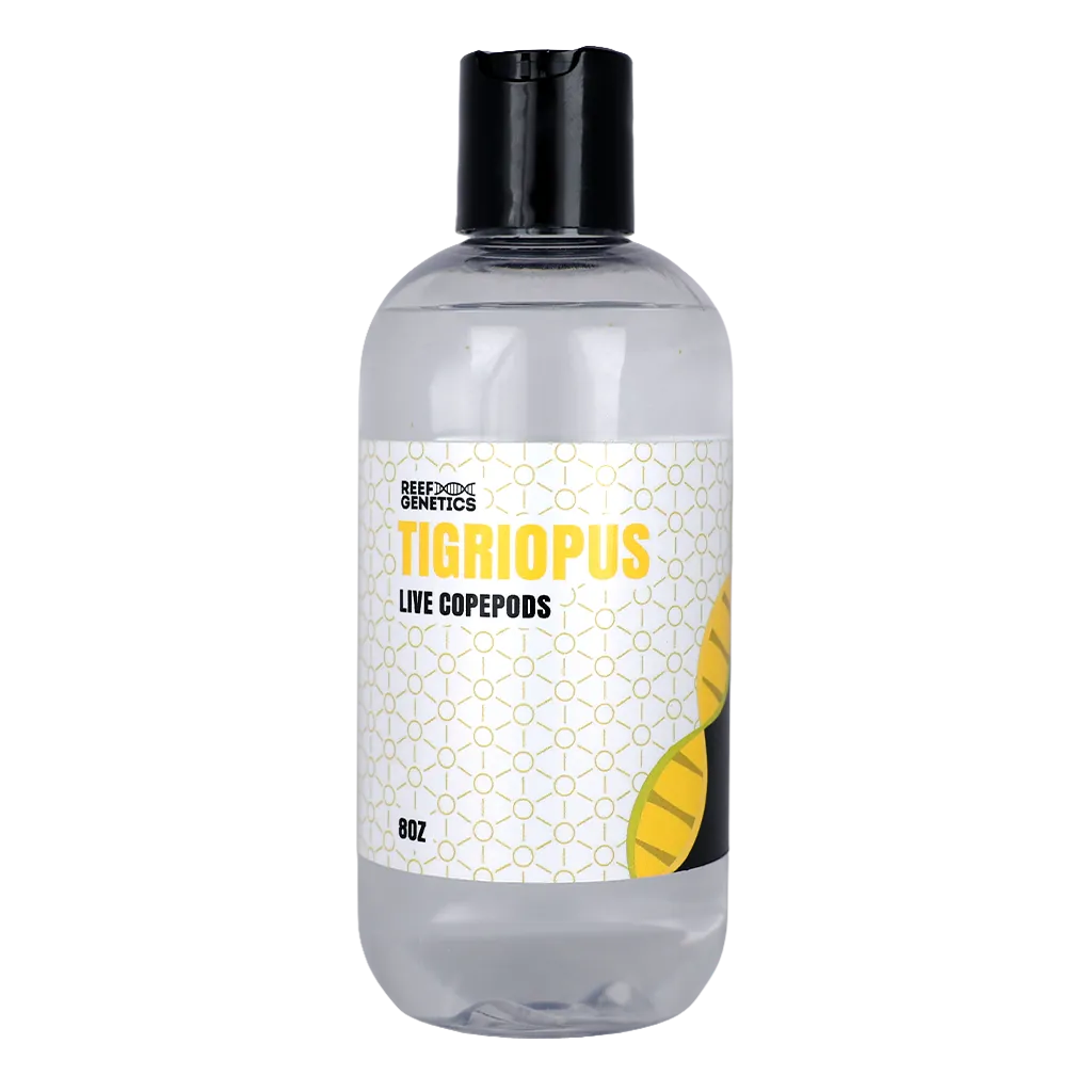Live Tigriopus Copepods - Reef Genetics