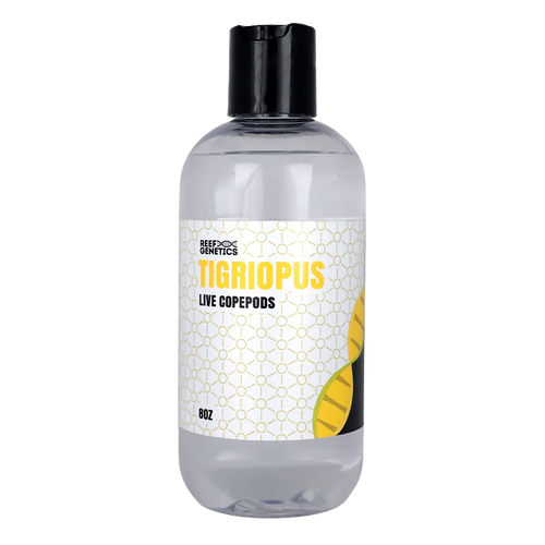 Live Tigriopus Copepods - Reef Genetics