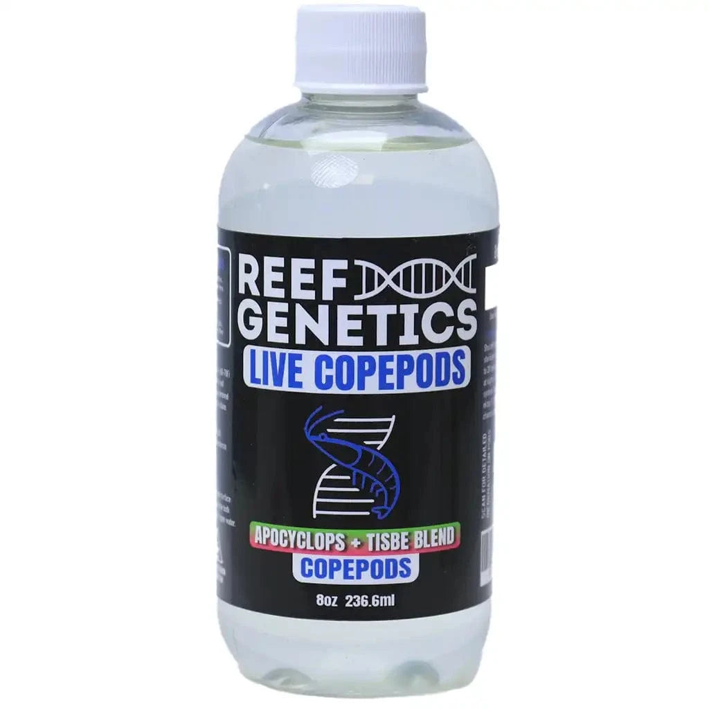 Live Mixed Copepods (Tisbe & Apocyclops) - Reef Genetics