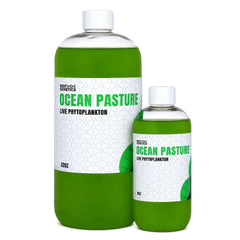 Ocean Pastures Live Green Phytoplankton - Reef Genetics