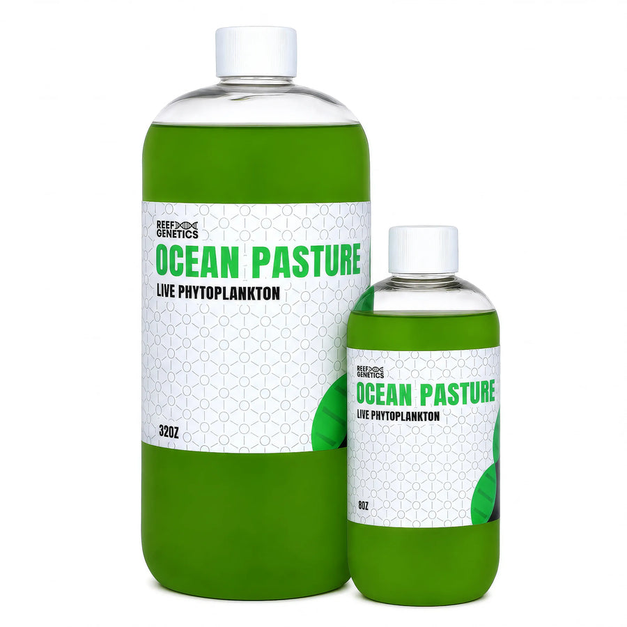 Ocean Pastures Live Green Phytoplankton - Reef Genetics