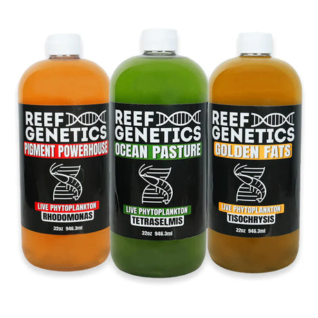 Phytoplankton Royale Flush Combo Pack (32oz) - Reef Genetics