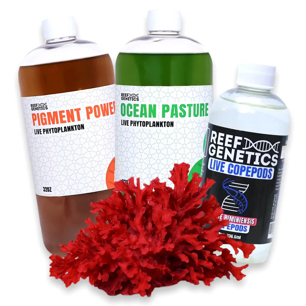 Reef Fuel Phytoplankton & Copepods Pack - Reef Genetics - Reef Genetics