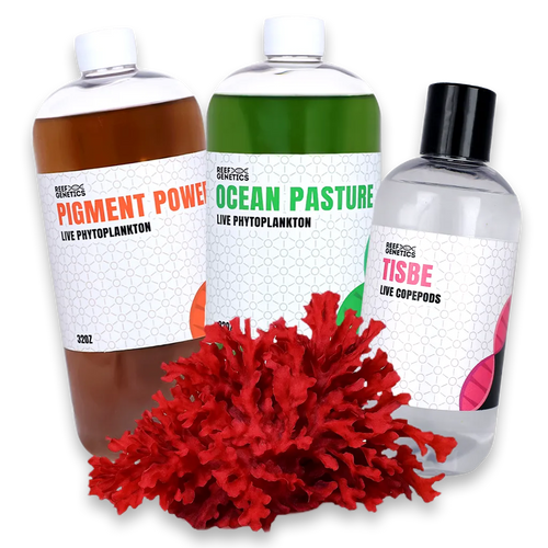 Reef Fuel Phytoplankton & Copepods Pack - Reef Genetics - Reef Genetics 32 oz