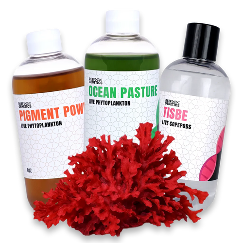 Reef Fuel Phytoplankton & Copepods Pack - Reef Genetics - Reef Genetics 8 oz