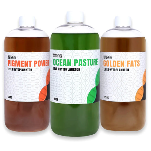 Royale Flush Phytoplankton Combo Pack - Reef Genetics 32 oz