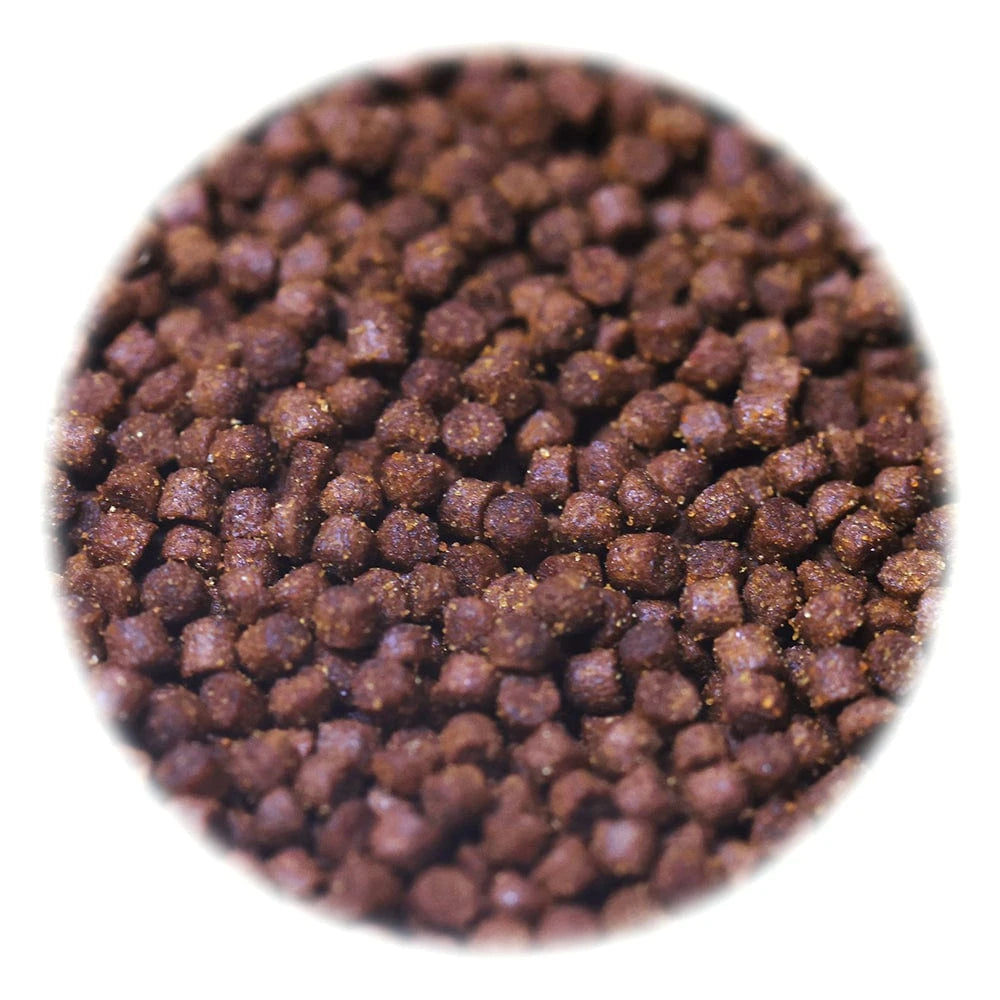Premium Fish Food - Pellets - Reef Genetics