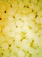 R.O.E. (Real Oceanic Eggs) - Reef Nutrition