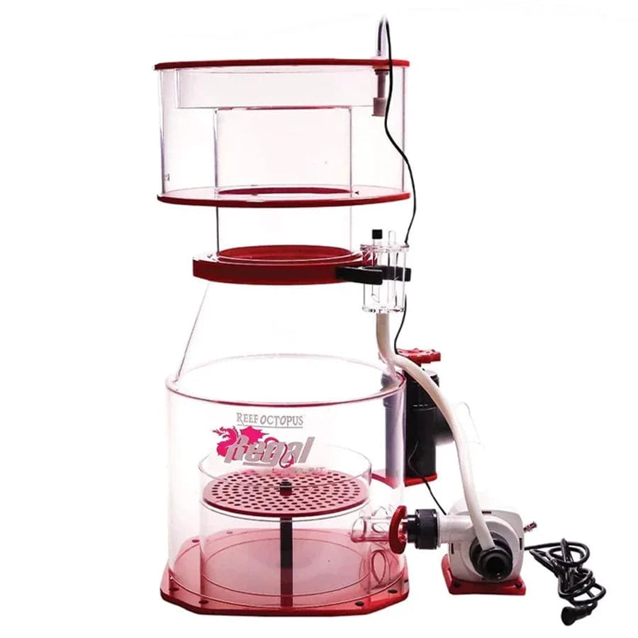 Regal 300INT 12″  Protein Skimmer (Varios) - Reef Octopus